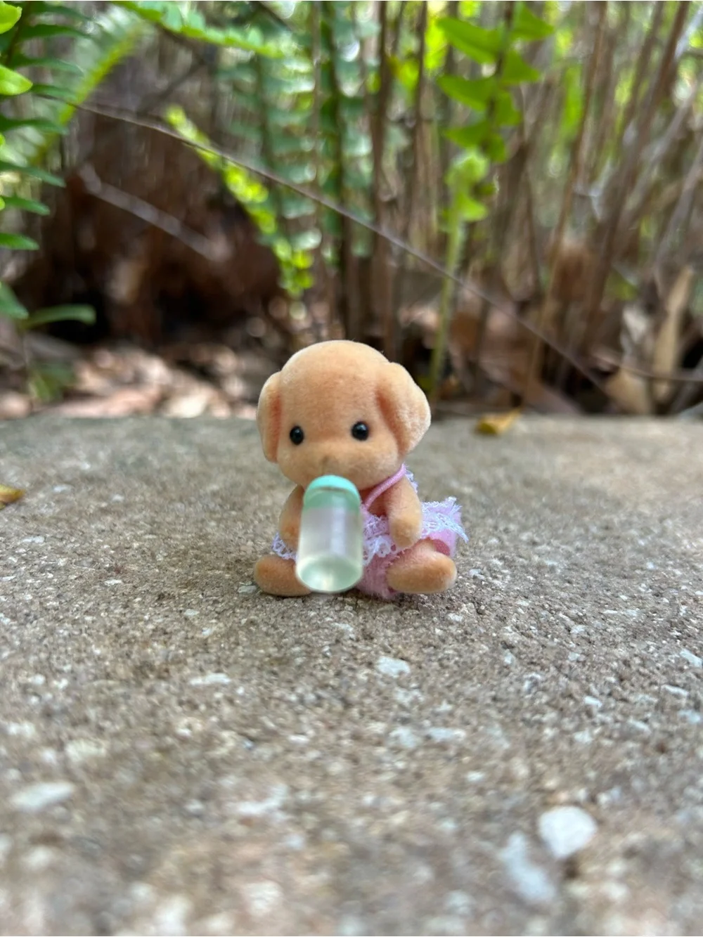 Calico Critters Mia the Poodle (w/ bottle) ~ - Picture 1 of 1